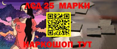СК Кандалакша