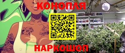 ПСИЛОЦИБИНОВЫЕ ГРИБЫ Кингисепп