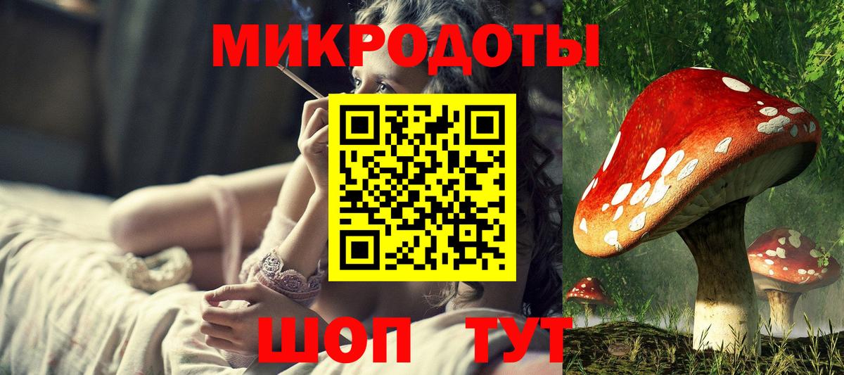 Псилоцибиновые грибы Psilocybine cubensis Красноярск