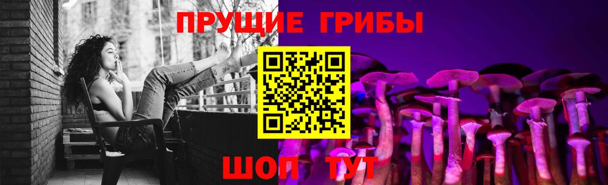 Галлюциногенные грибы MAGIC MUSHROOMS  Псилоцибиновые грибы мухоморы  Красноярск  Вход с VPN 
